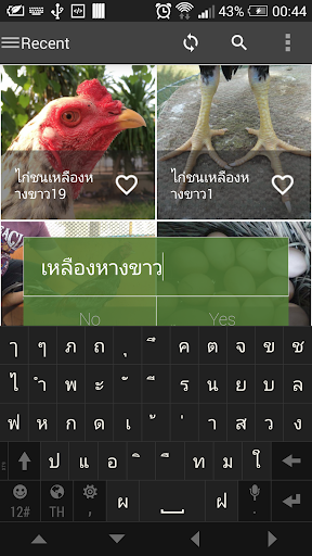 【免費攝影App】วอลเปเปอร์ไก่ชน-APP點子