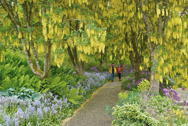 An Impressionist painting? Nope. A couple walks through VanDusen Botanical Garden in Vancouver, British Columbia.