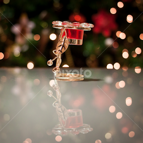 just Christmas by Elena Biciocchi - Public Holidays Christmas