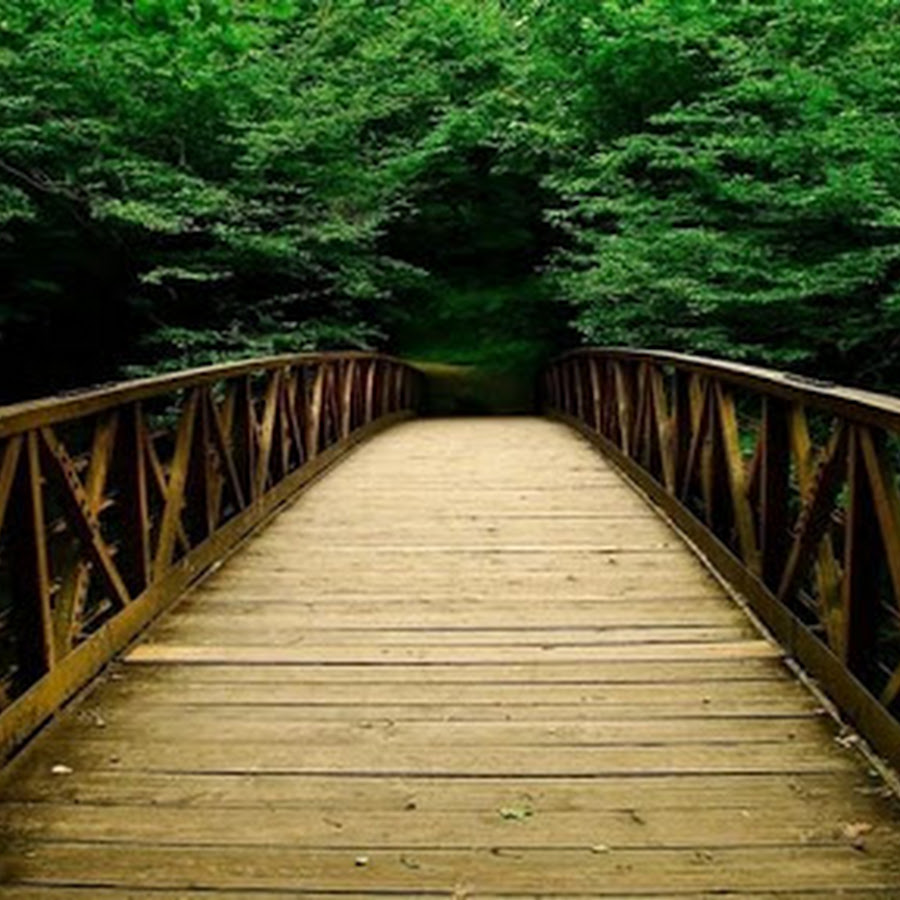 Green Nature HD Wallpaper - Android Apps on Google Play