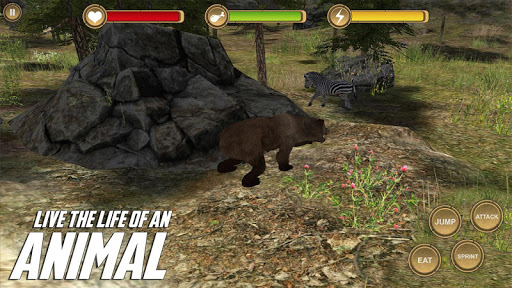 【免費角色扮演App】Bear Simulator HD Animal Life-APP點子