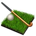 PGA/USGA Golf Rules