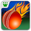 Power Cricket T20 logo