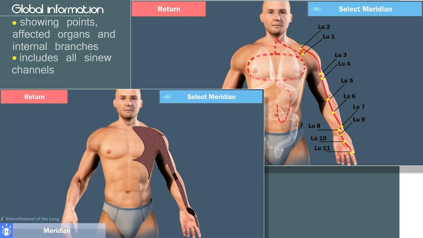 Easy Acupuncture 3D-MED Screen 4