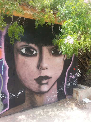 Street Art Soul