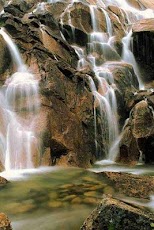 ������� 3D ����