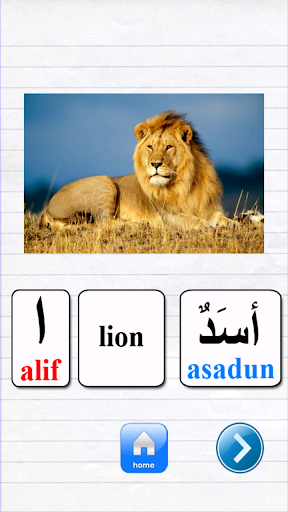 【免費教育App】Learn Arabic Alphabet-APP點子