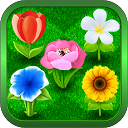 Bouquets - puzzle flowers saga mobile app icon