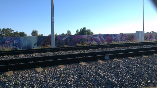 Barrier Mural
