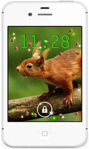 Squirrels Photo live wallpaper