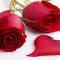 Dangerous Rose Live Wallpapers icon