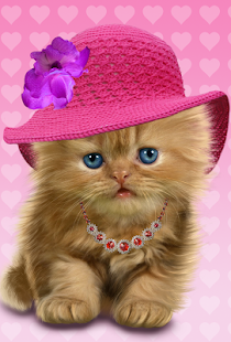How to mod Baby Cat, Cute Live Wallpaper 2.0.1 unlimited apk for android