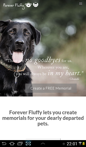 Forever Fluffy