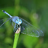 The Ground Skimmer