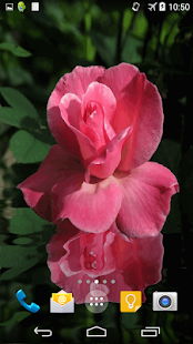How to download Rose In Water Live Wallpaper 1.0 unlimited apk for bluestacks