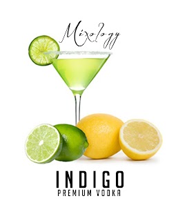 How to download Indigo Vodka 1.3 unlimited apk for bluestacks