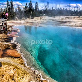 Yellowstone by Roxana McRoberts - Landscapes Forests