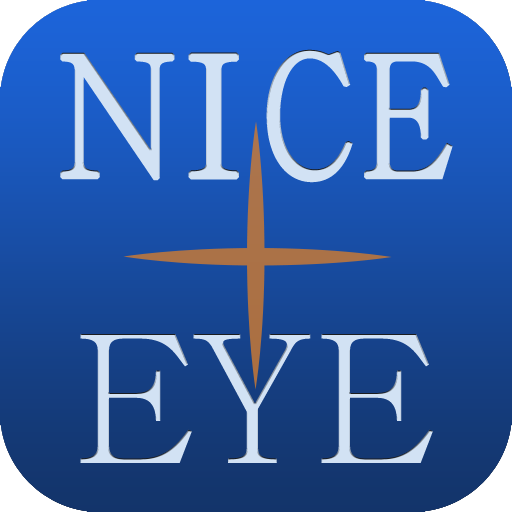 NICE EYE2 (나이스 아이 2) LOGO-APP點子