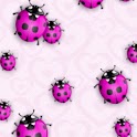 Purple Ladybugs On Pink Wall logo