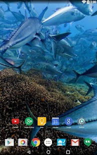 download Panorama Wallpaper: Diving free