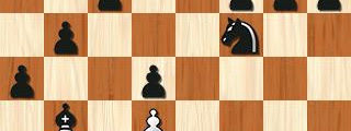 Shredder Chess v1.2.1 apk