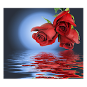 Rose In Water II logo