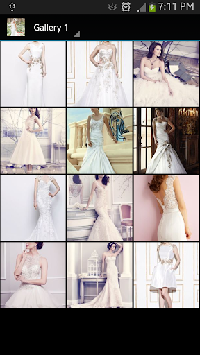 Wedding Gowns