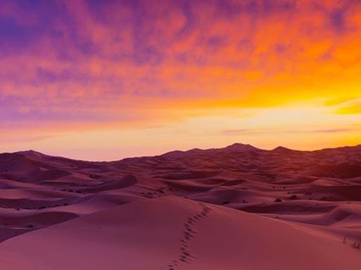 Dunes Wallpapers