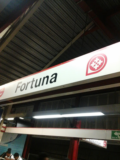 Tren Suburbano Fortuna