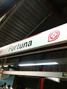 Tren Suburbano Fortuna