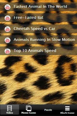 Turbo Racing Animal Game