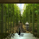 和の風景～竹～☆パノラマライブ壁紙