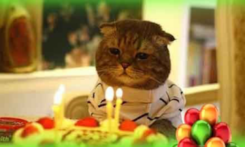 Felicitaciones Cumpleaños Familiar