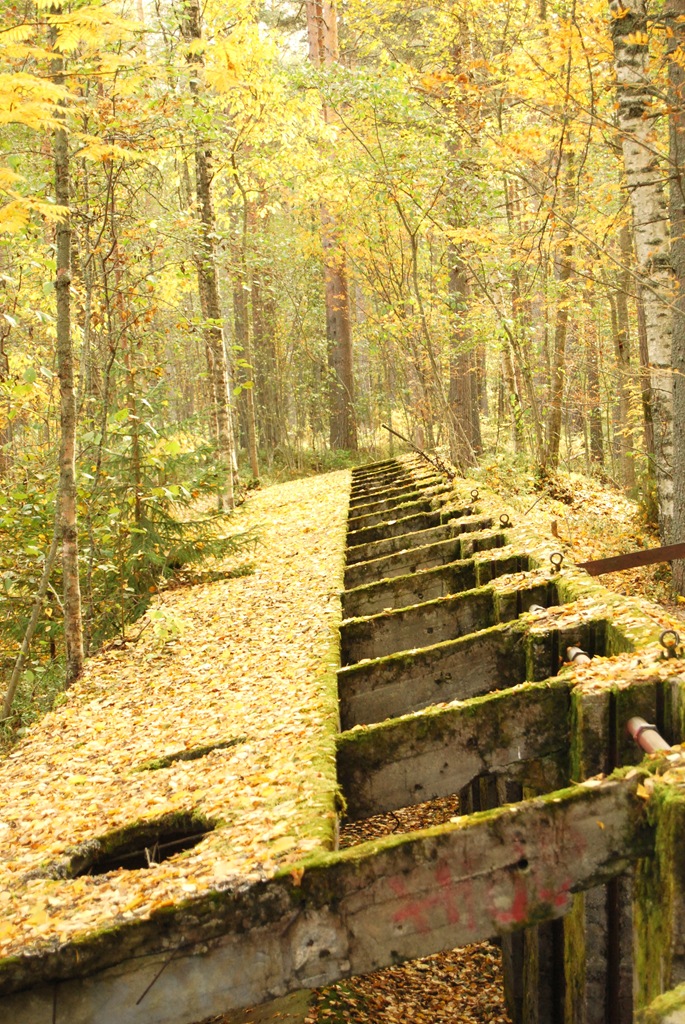 [DSC_0012[2].jpg]