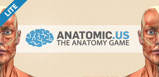 Muscular Anatomy Game Lite -  apk apps