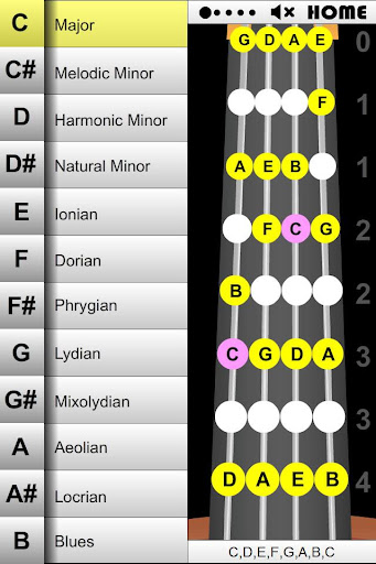 Orchestral Strings 60 Scales