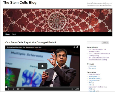 The Stem Cells Blog Screenshots 0