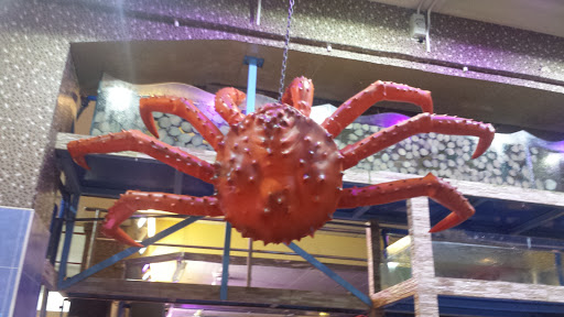 Biggest Crab in Town