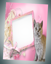 photo frames cat pic frames poster 2