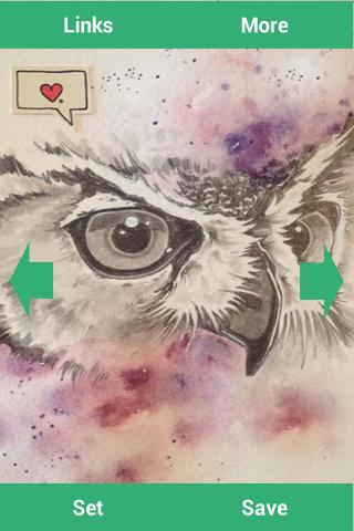 Owls Wallpapers