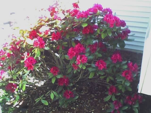 [!cid__06-01-08_1113[2].jpg]