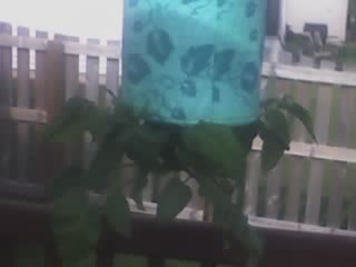 [!cid__06-02-08_1752[2].jpg]