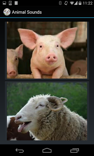 【免費娛樂App】Animal Sounds (1 line display)-APP點子