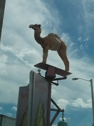Miami Bakery Spinning Camel
