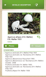 Download Mushrooms Sync APK