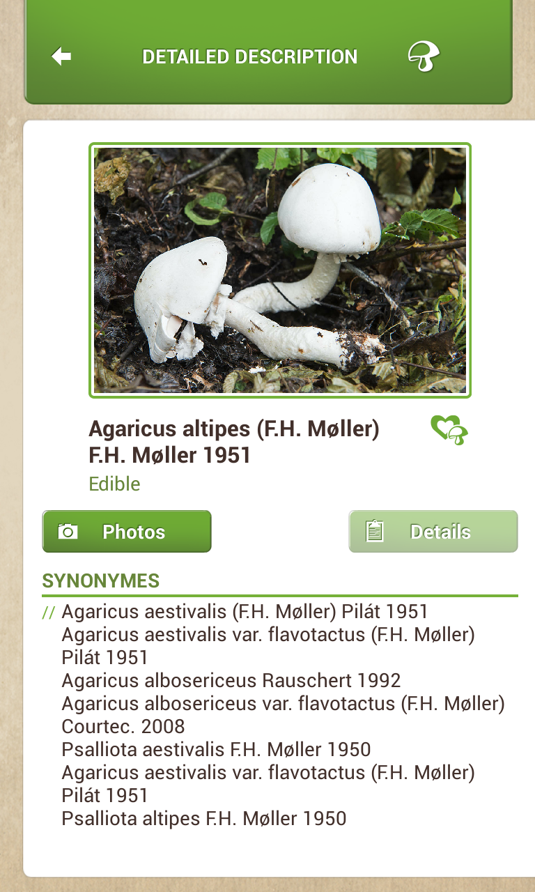 Mushrooms Sync Screen 3