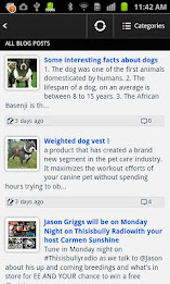 THISISBULLY.COM poster 2