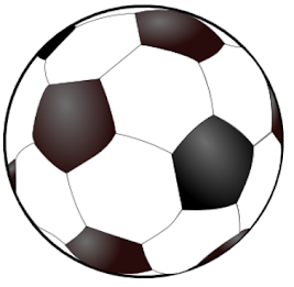 Pocket Offsides poster 4