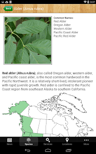 ITL Lumber Screenshots 3