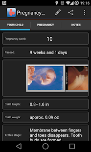   Pregnancy Assistant- screenshot thumbnail   
